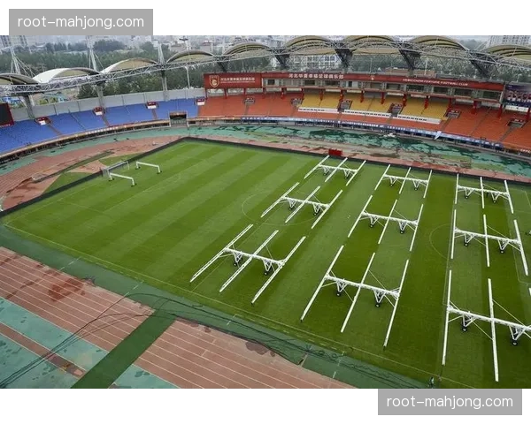 哥伦比亚南美技术流代表 球队需适应北美人工草皮场地